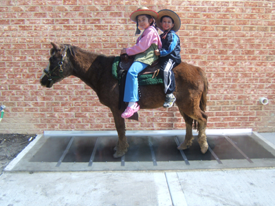 Two children on a pony standing safely on a Well Covered window well cover