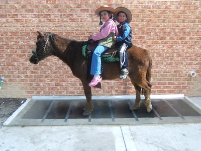 Two children on a pony standing safely on a Well Covered window well cover